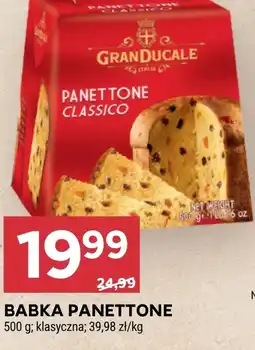 Stokrotka Babka Granducale oferta