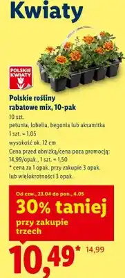 Lidl Polskie rośliny rabatowe mix 10-pak aksamitka oferta