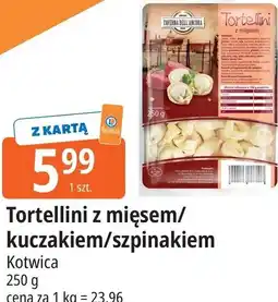 E.Leclerc Tortellini z mięsem/kurczakiem/szpinakiem Kotwica oferta