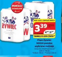 Delfin Piwo Zywiec oferta