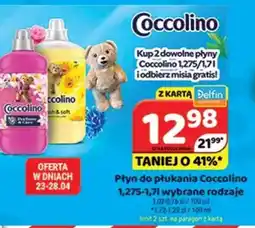 Delfin Coccolino płyn do płukania oferta