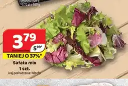 Delfin Sałata mix oferta