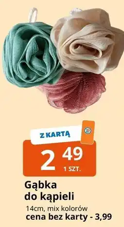 E.Leclerc Gąbka do kąpieli oferta