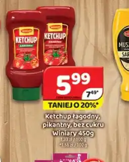 Delfin Winiary Ketchup oferta