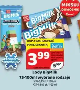 Delfin Lody BigMilk oferta