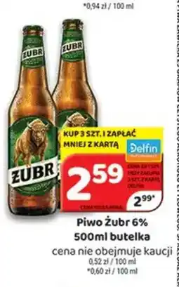 Delfin Piwo Zubr 6% oferta