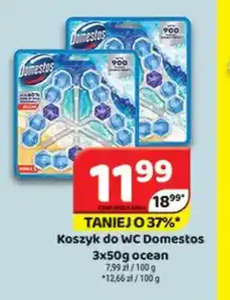 Delfin Domestos Koszyk do WC oferta