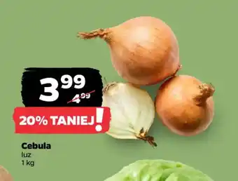 Netto Cebula oferta