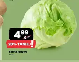 Netto Sałata lodowa oferta