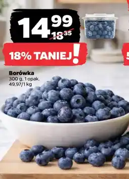 Netto Borówka oferta