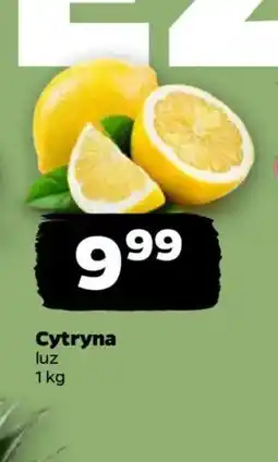 Netto Cytryna oferta