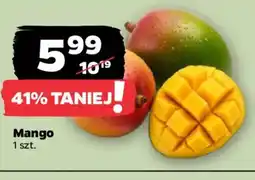 Netto Mango oferta