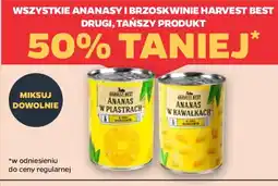 Netto Harvest Best Ananasy / Brzoskwinie oferta