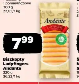 Netto Biszkopty Ladyfingers Andante oferta