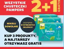 Netto Pampers chusteczki oferta