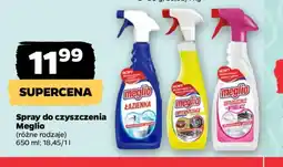 Netto Spray do czyszczenia Meglio oferta