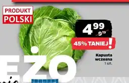 Netto Kapusta wczesna oferta