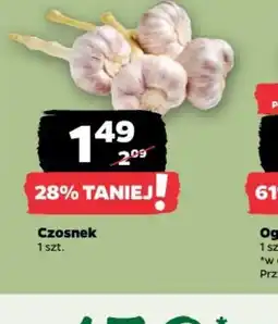 Netto Czosnek oferta