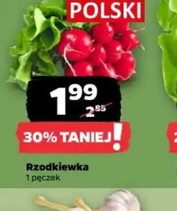 Netto Rzodkiewka oferta