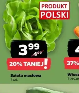 Netto Sałata masłowa oferta