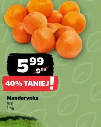 Netto Mandarynka oferta