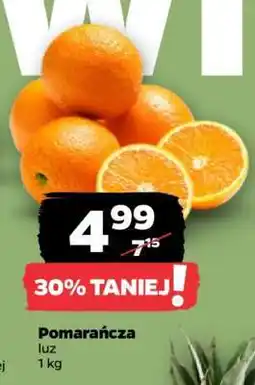 Netto Pomarańcza luz oferta