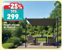 Biedronka Pergola stalowa do elewacji oferta
