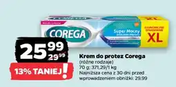 Netto KREM DO PROTEZ COREGA oferta