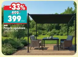 Biedronka Pergola ogrodowa oferta