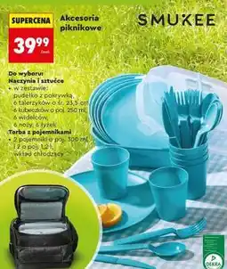 Biedronka Akcesoria piknikowe oferta