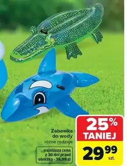 Carrefour Zabawka do wody oferta