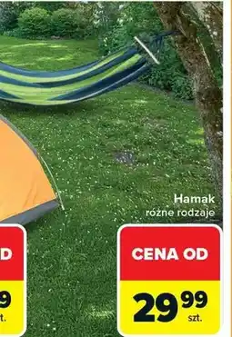Carrefour Hamak oferta