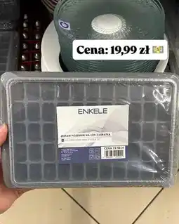 Dino Zestaw pojemnik na lód z łopatką Enkele oferta