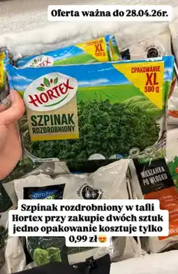 Dino Szpinak rozdrobniony w tafli Hortex opakowanie XL oferta