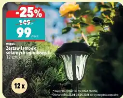Biedronka Zestaw lampek solarnych ogrodowych 12 sztuk oferta