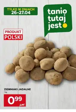 Stokrotka Ziemniaki jadalne polskie oferta
