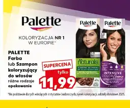 Kaufland Farba do włosów Palette oferta