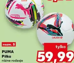 Kaufland PUMA Piłka różne rodzaje oferta