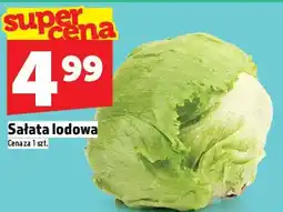 Topaz Sałata lodowa oferta