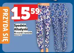 Topaz Spodnie Alladynki oferta
