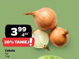 Netto Cebula luz oferta