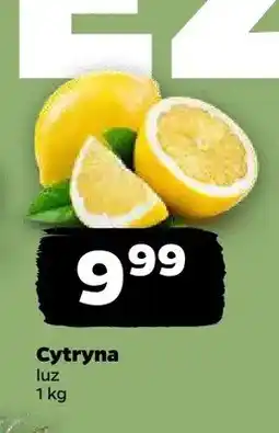 Netto Cytryna luz oferta