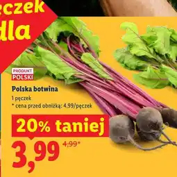 Lidl Botwina polska oferta
