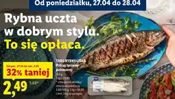 Lidl Pstrąg tęczowy patroszony Targ Rybny Lidla oferta