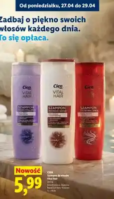 Lidl Szampon do włosów Cien Vital Hair Hydra Hyaluron oferta