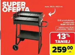 Carrefour Grill prostokątny FLORALAND oferta