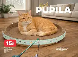 Netto Drapak dla kota z kocimiętką oferta
