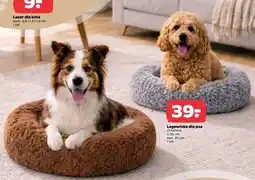Netto Legowisko dla psa oferta