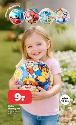 Netto Piłka licencyjna oferta