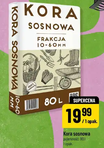 Polomarket Kora sosnowa oferta